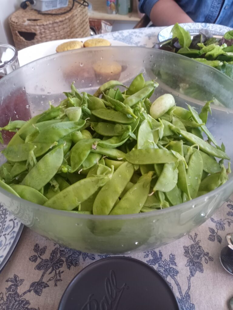 A Sunday pea harvest