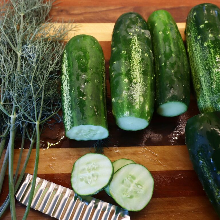 Fresh pickling cucumbers cut to show interior, with dill and knife on wooden cutting board