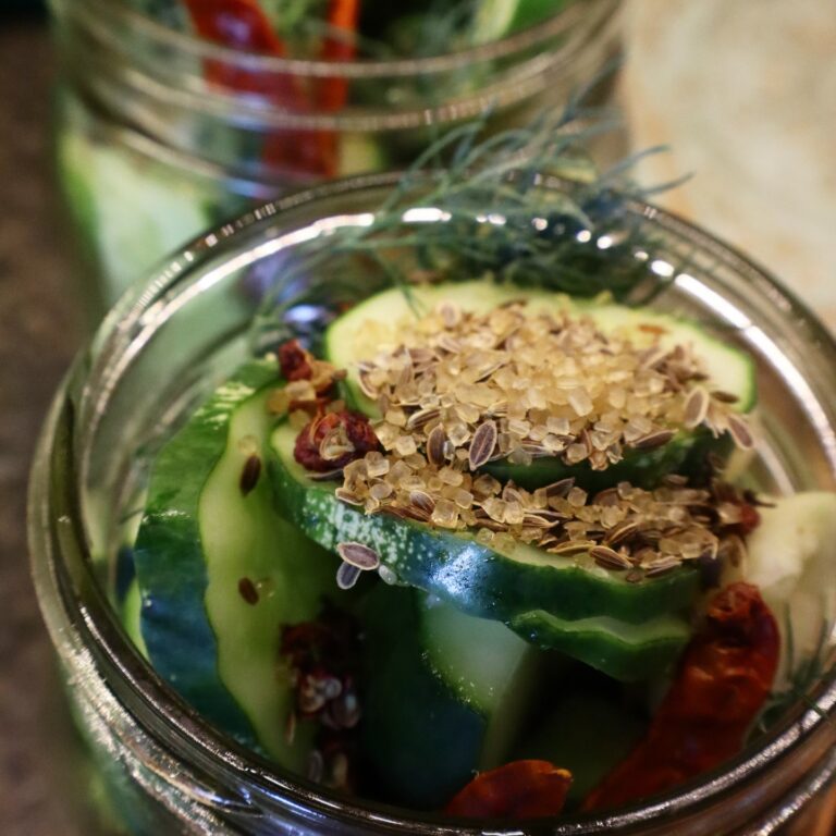 Glass jar of pickled cucumber spears in brine with dried chilis and coriander seeds visible on top
