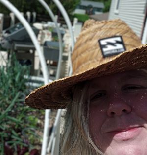 Friday in the kitchen garden