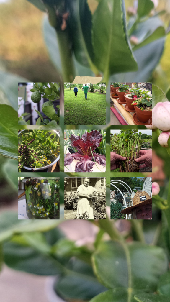 tools for gardeners